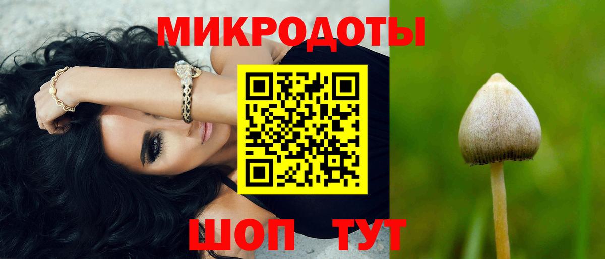 Галлюциногенные грибы Psilocybe Оренбург